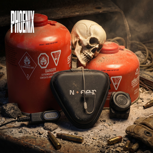 N-ear: Phoenix Kit